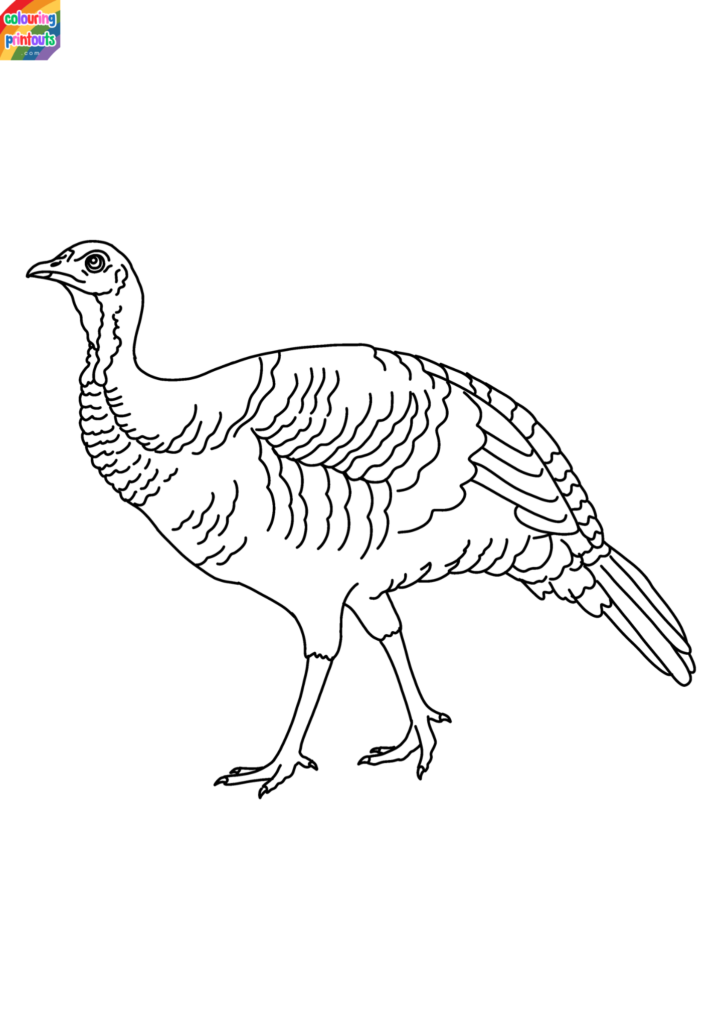 Color Pages of Turkeys Printable (2)