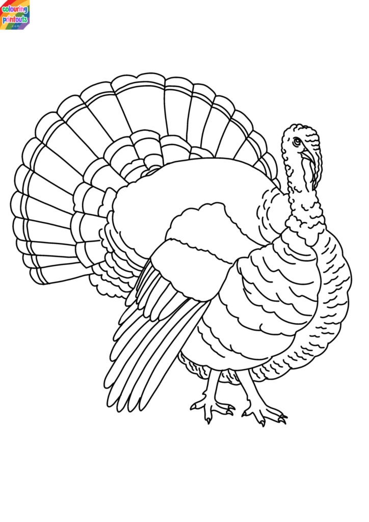 Color Pages of Turkeys Printable