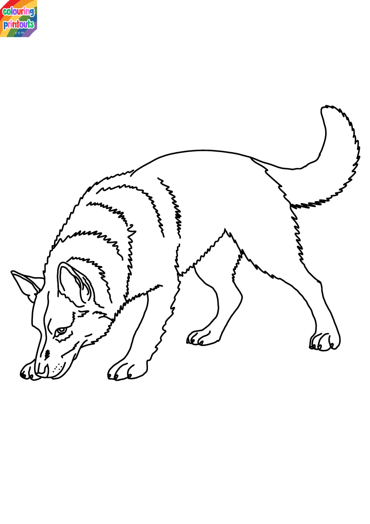 Coloring Pictures of German Shepherds (1)
