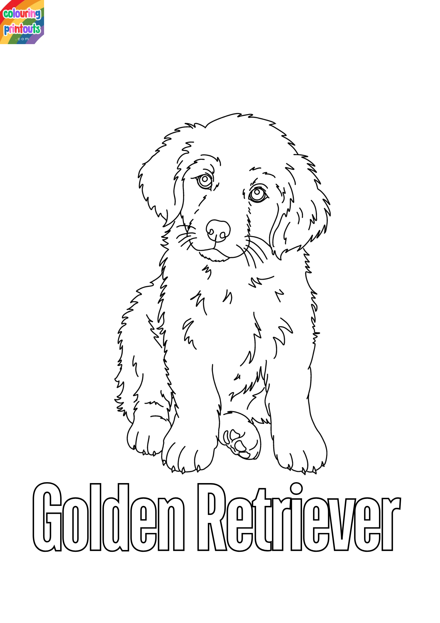 Coloring pages golden retriever (1)