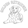 Coloring pages golden retriever (2)