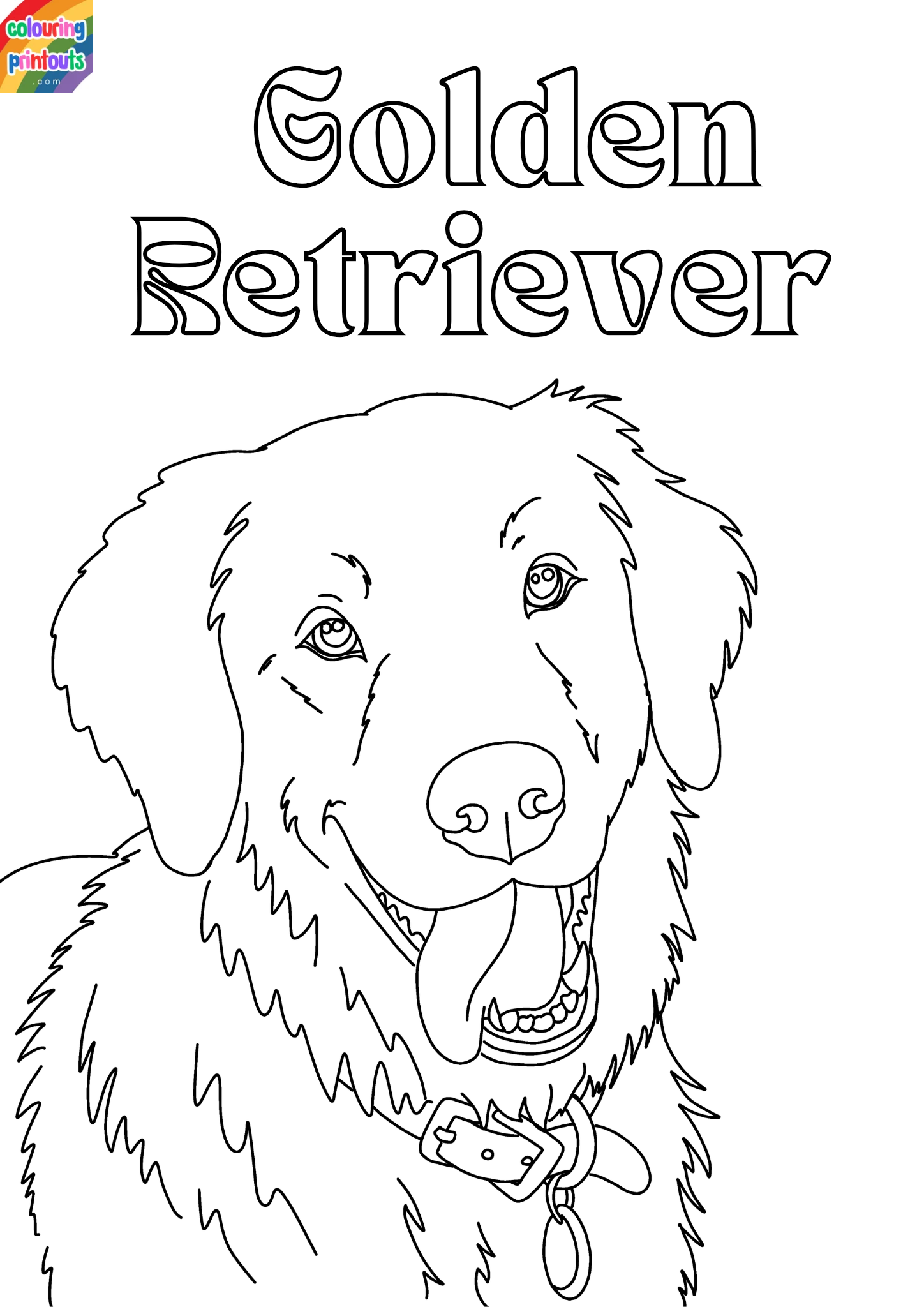 Coloring pages golden retriever (3)