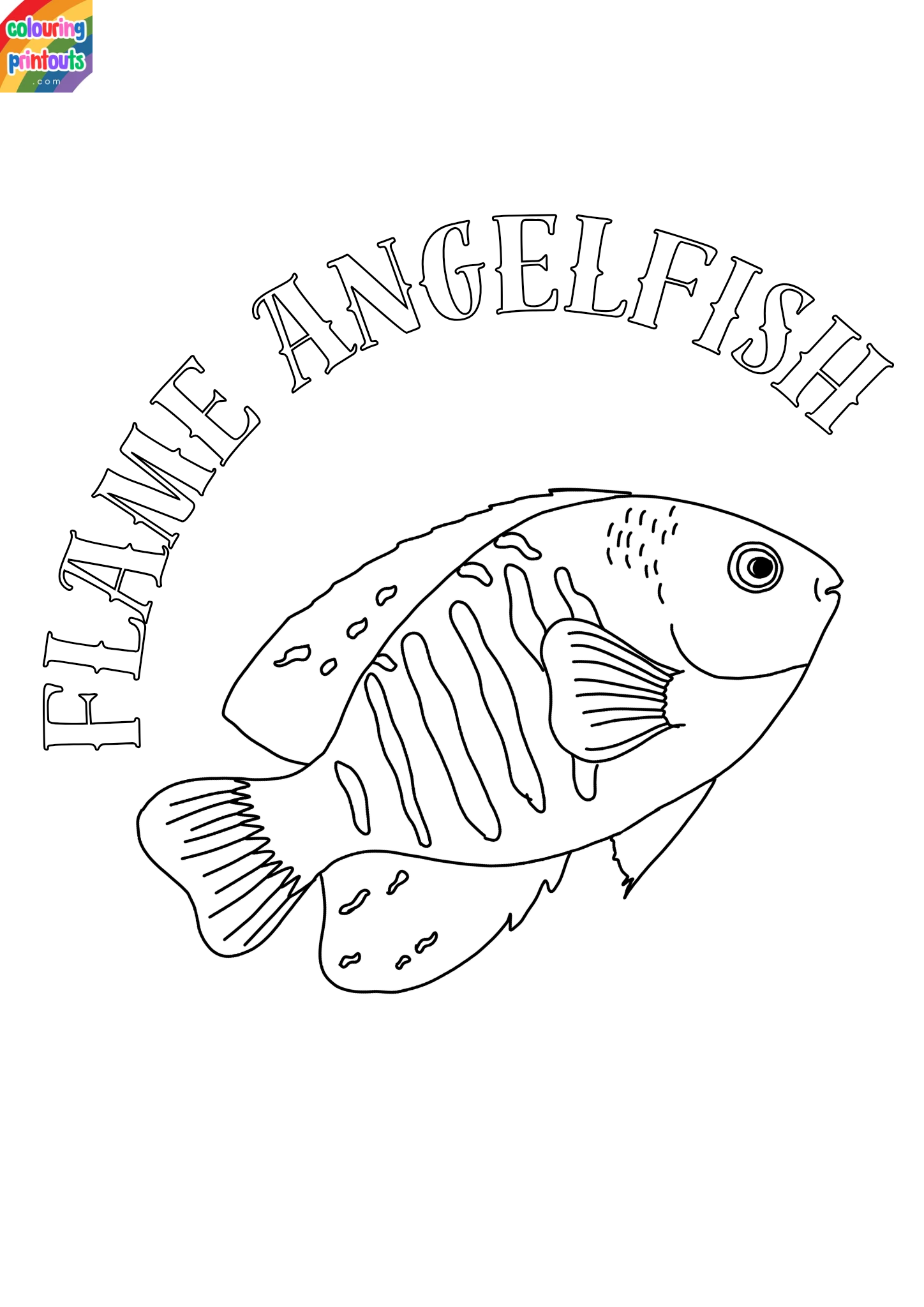 Flame Angelfish Coloring Pages