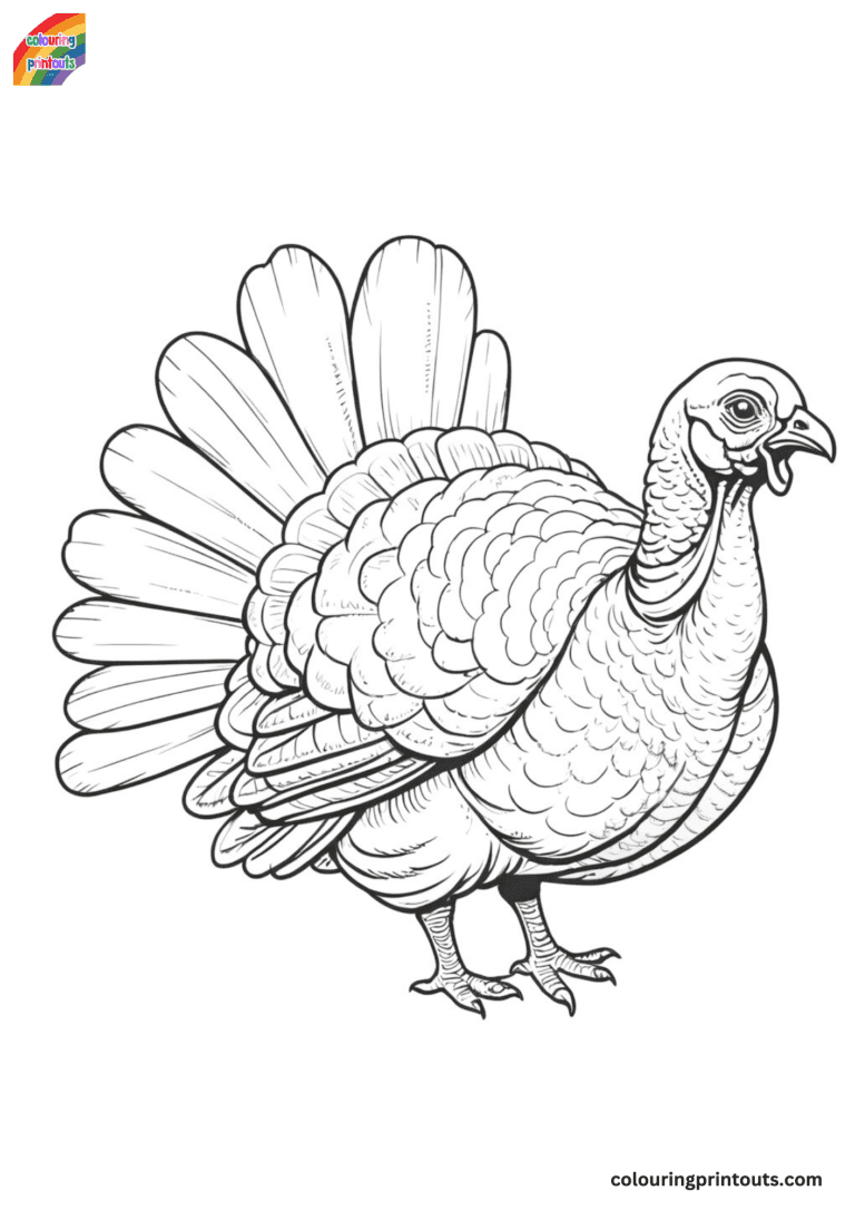 20+ Color Pages of Turkeys Printable [FREE DOWNLOAD]