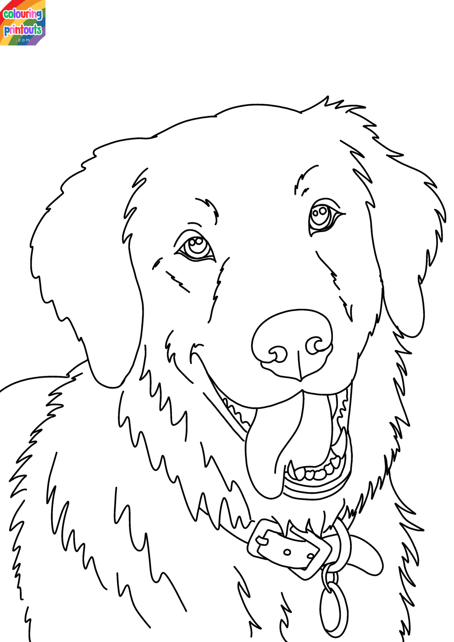 Golden Retriever Coloring Pages Printable (1)