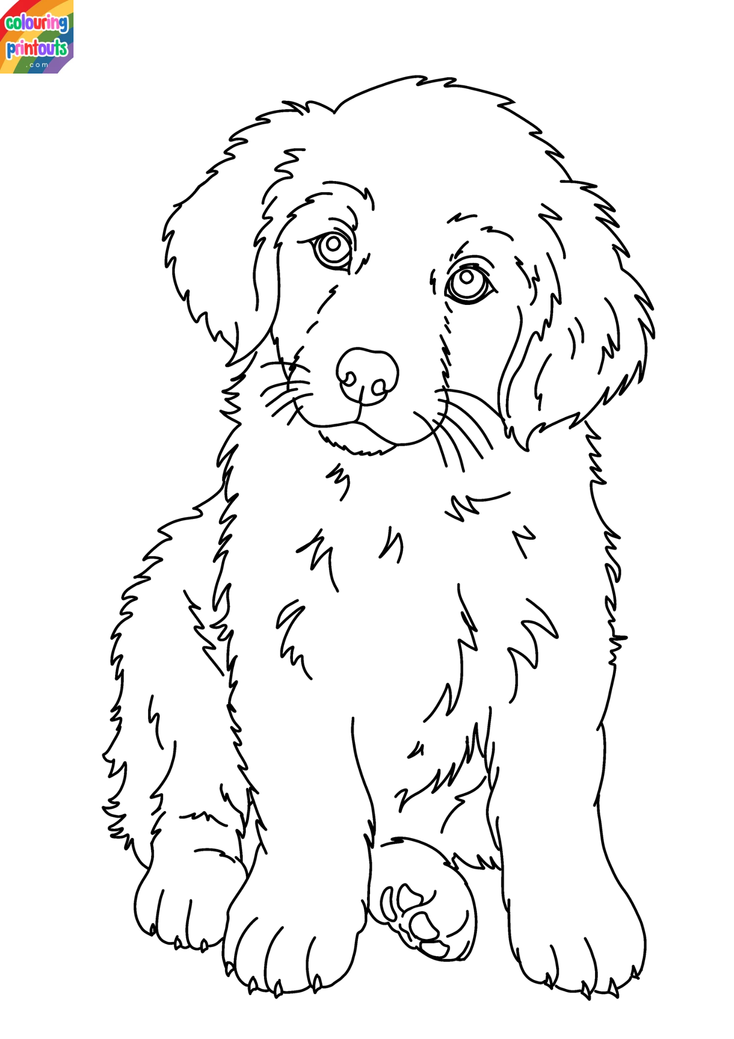 Golden Retriever Coloring Pages Printable (2)