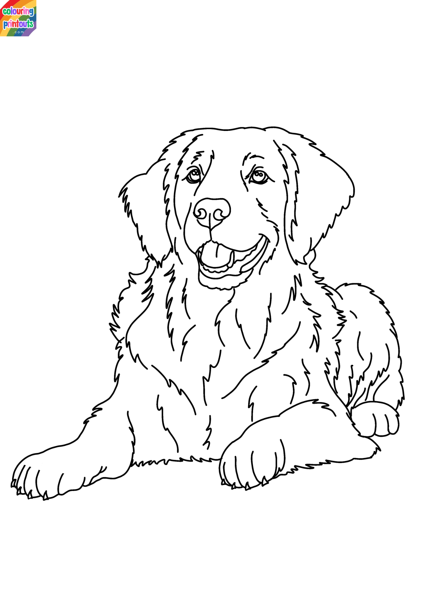 Golden Retriever Coloring Pages Printable (3)