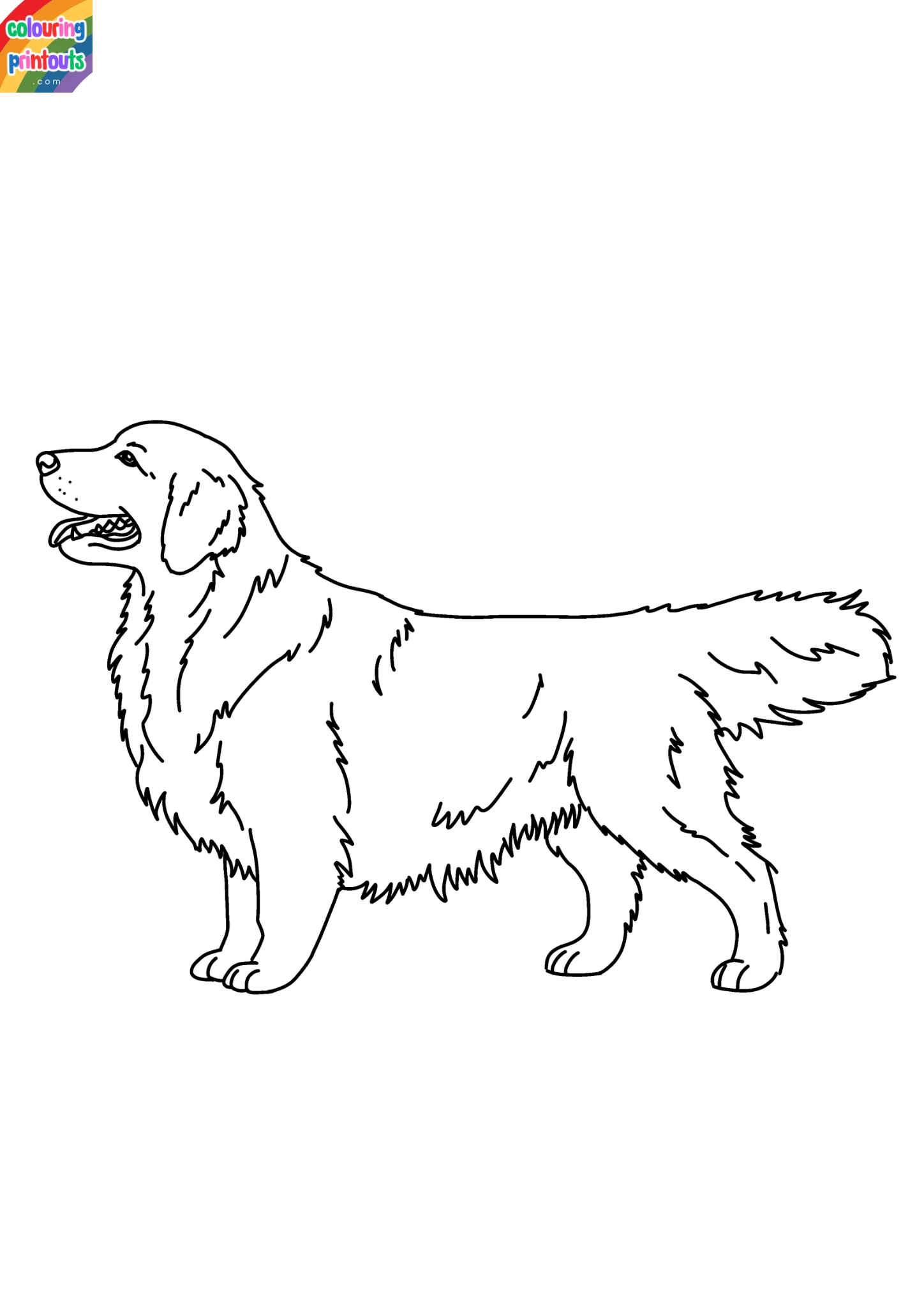 Golden Retriever Coloring Pages Printable (4)