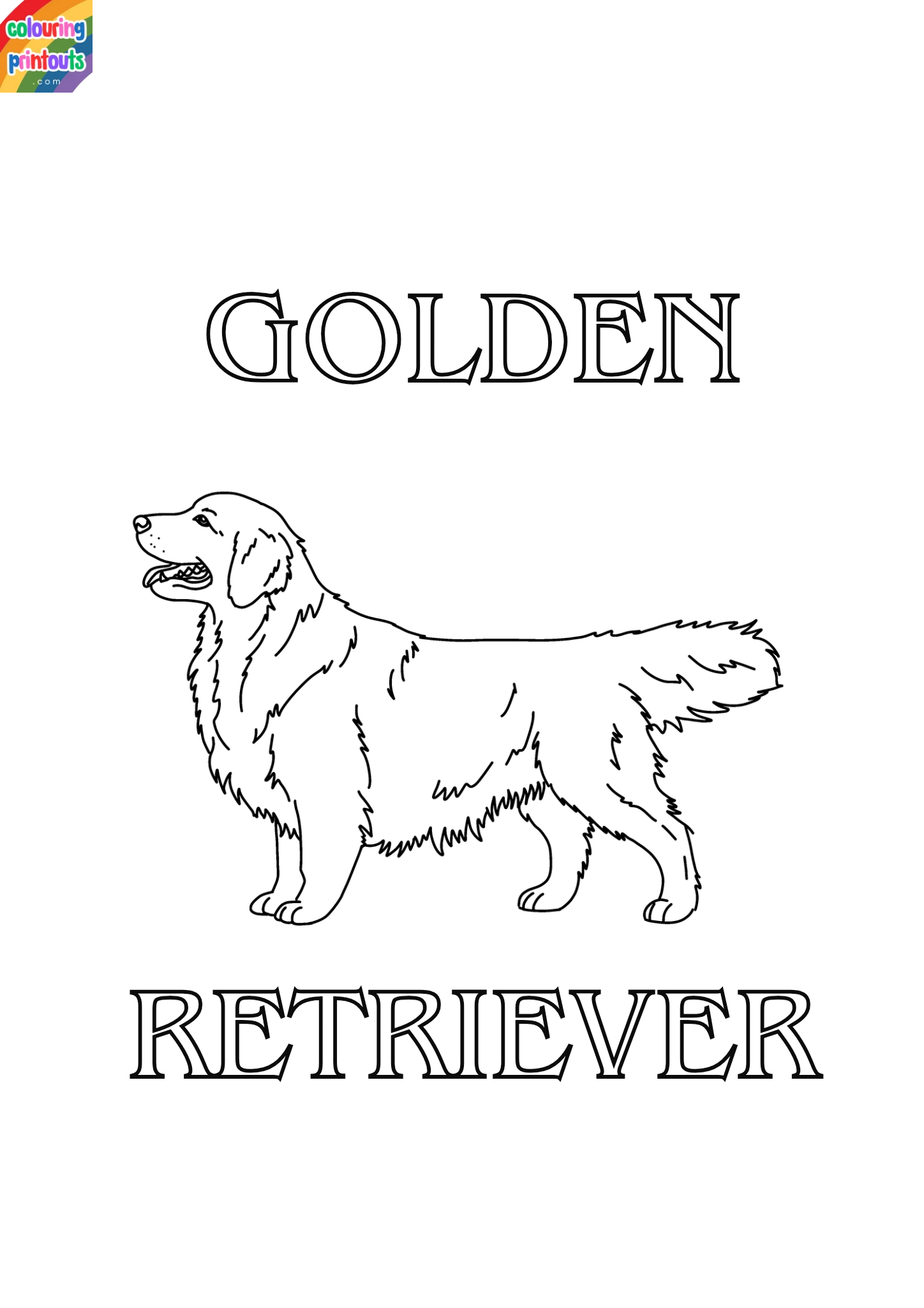 Golden retriever coloring sheet (2)