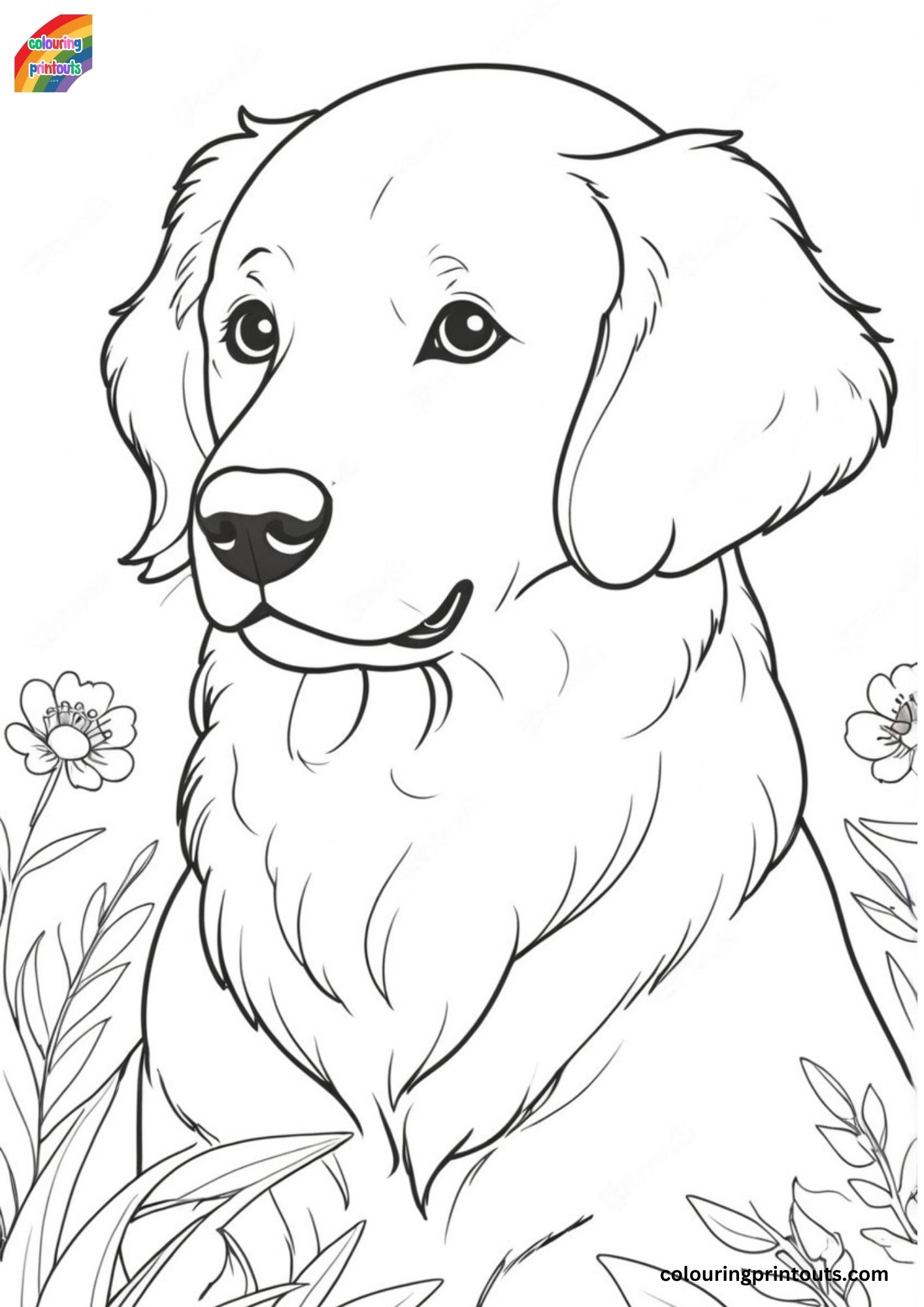 Golden retriever coloring sheet