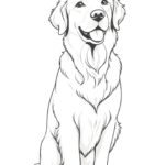 Golden retriever dog coloring page