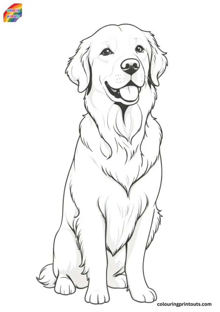 Golden retriever dog coloring page