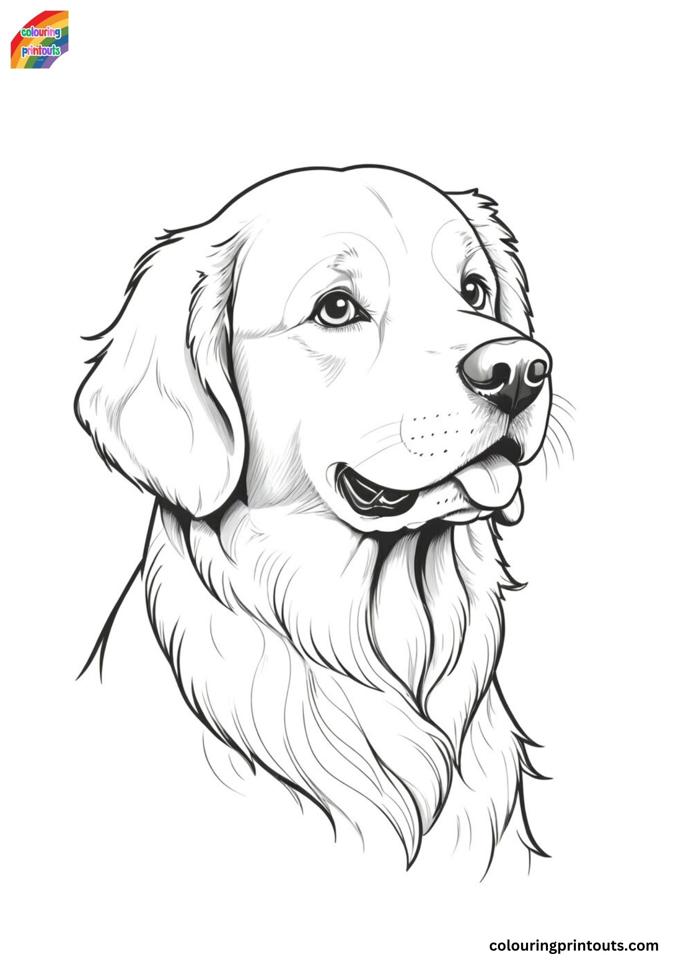 Golden retriever dog coloring pages