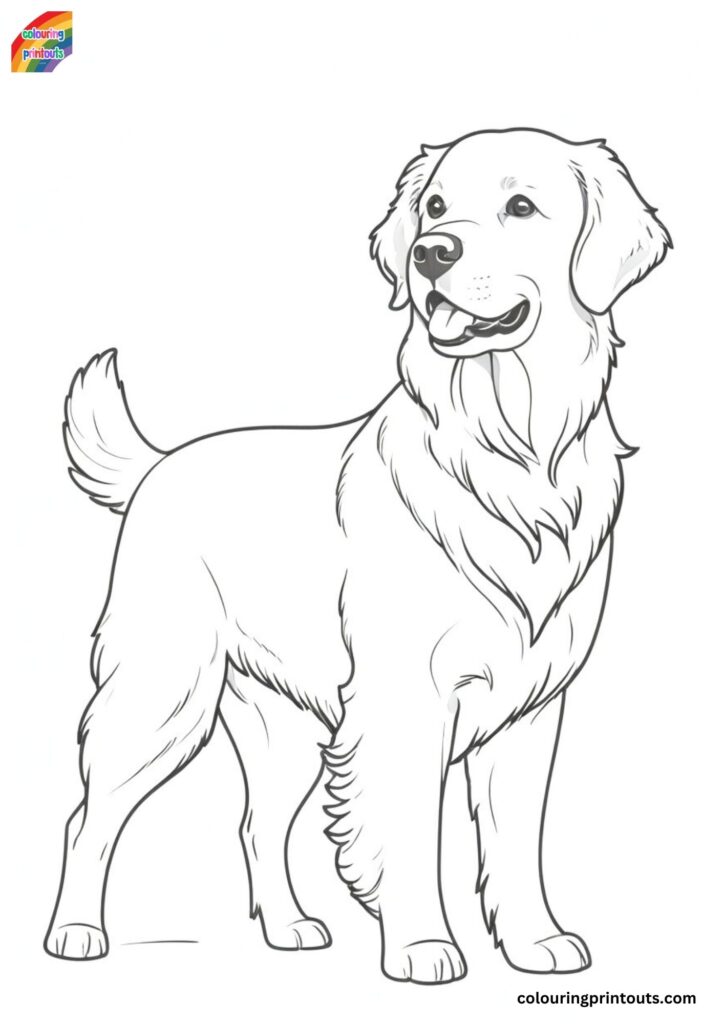 Golden Retriever Coloring Pages Printable (Free Printables)