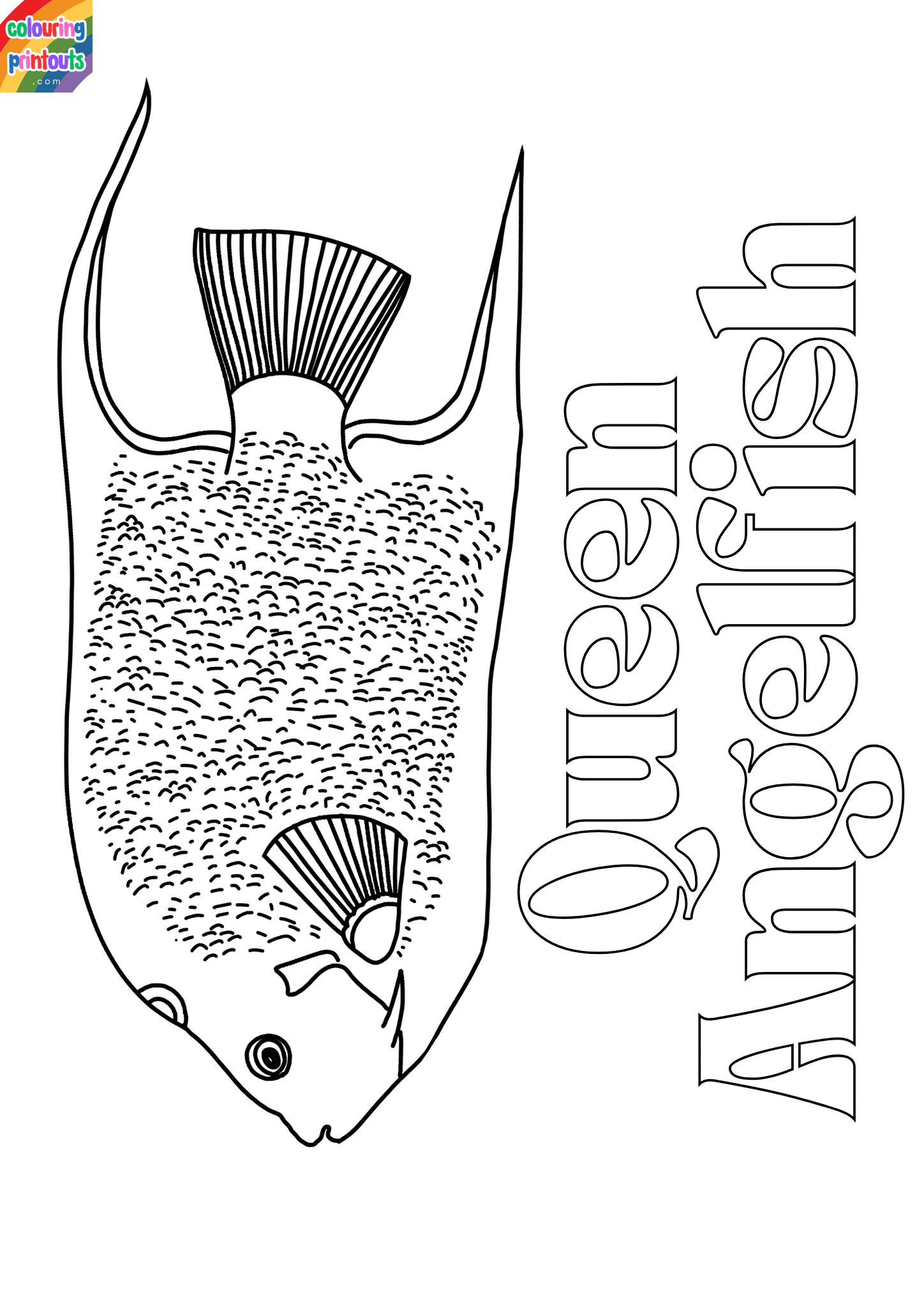 Queen Angelfish Coloring Pages