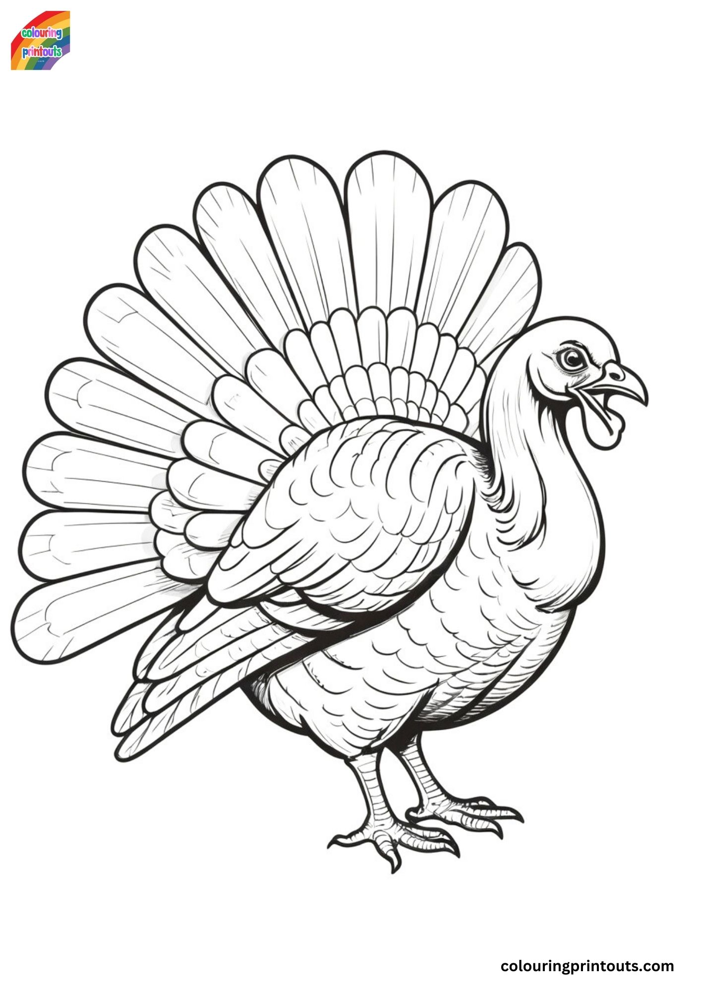 Turkey pictures to color (2)