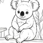 colouring picture of a koala bear