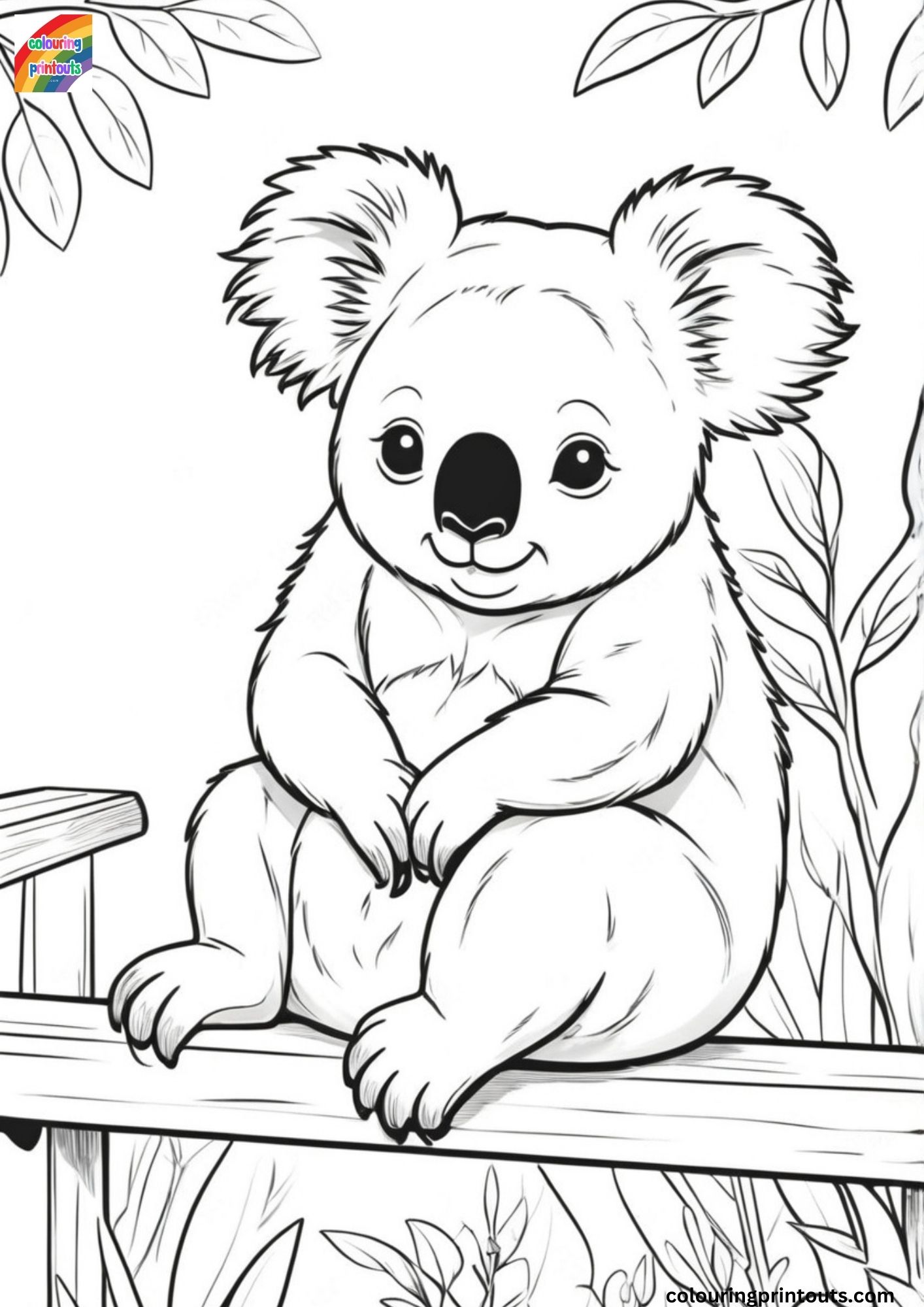 colouring picture of a koala bear