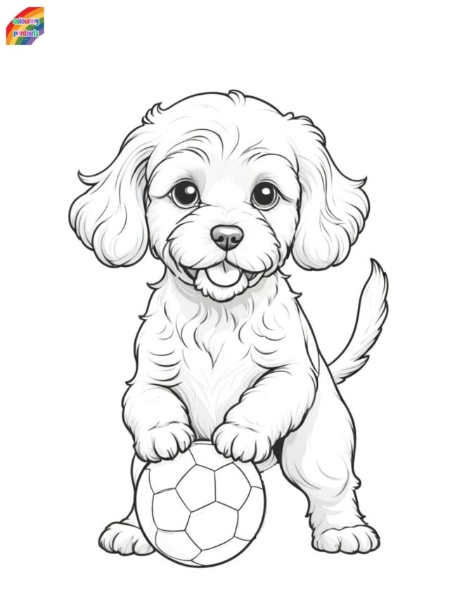 Cockapoo Coloring Pages