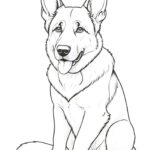 german shepherd coloring pages