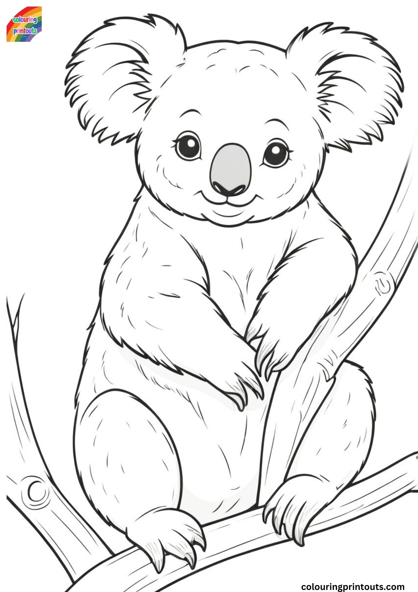 koala bear pictures to color