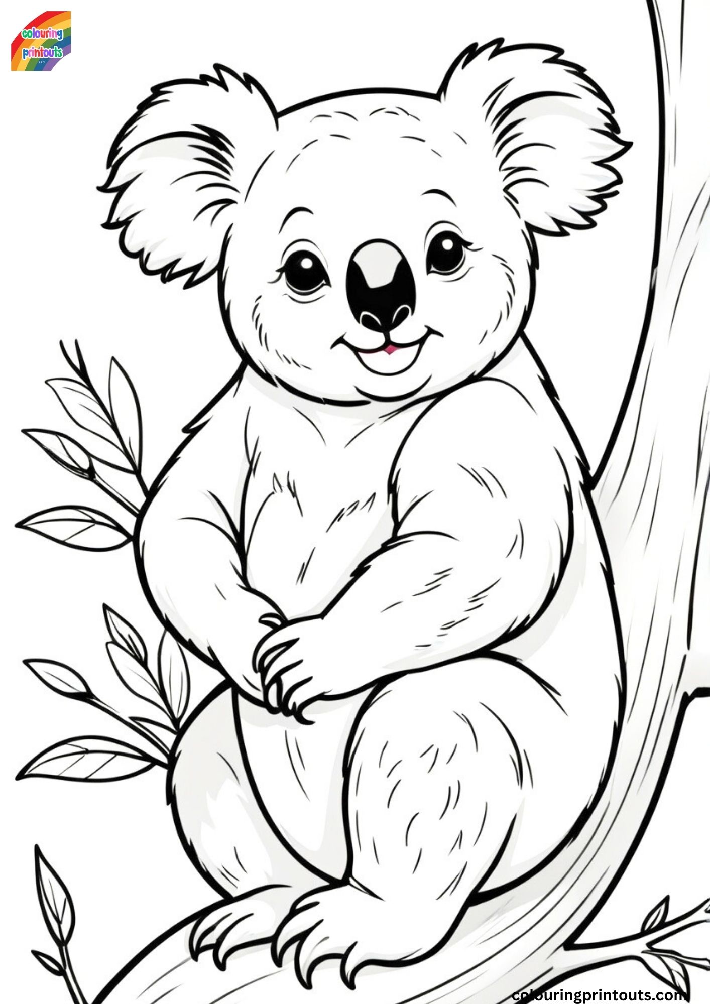 koala bear pictures to coluor