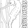 seahorse coloring