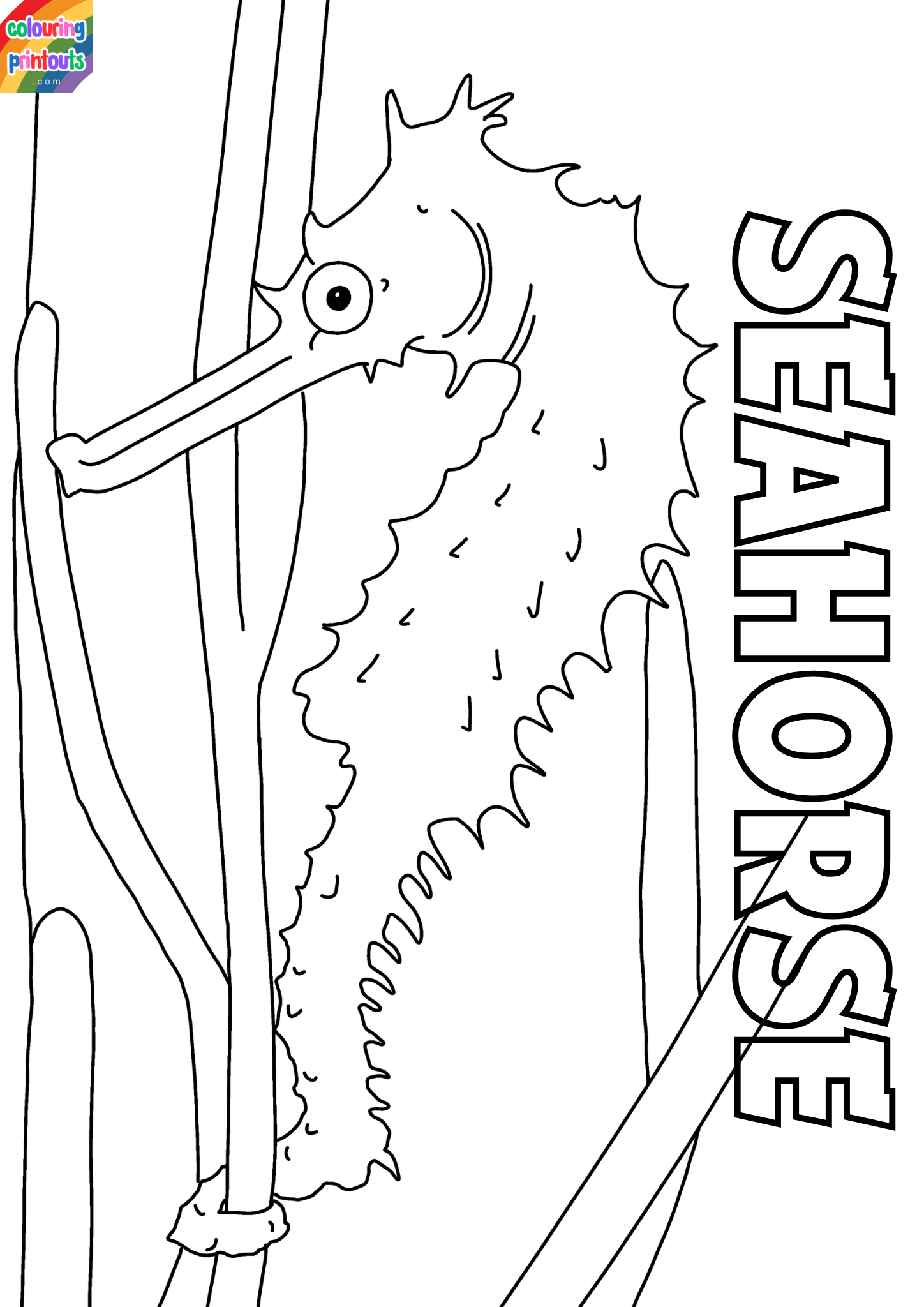seahorse coloring
