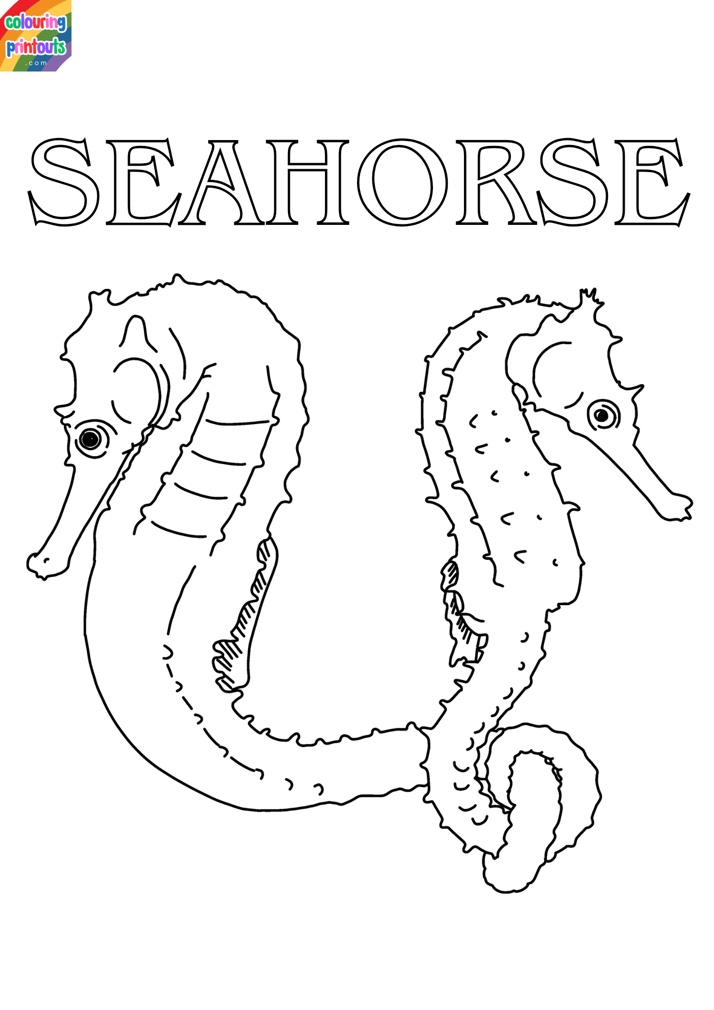 seahorse coloring