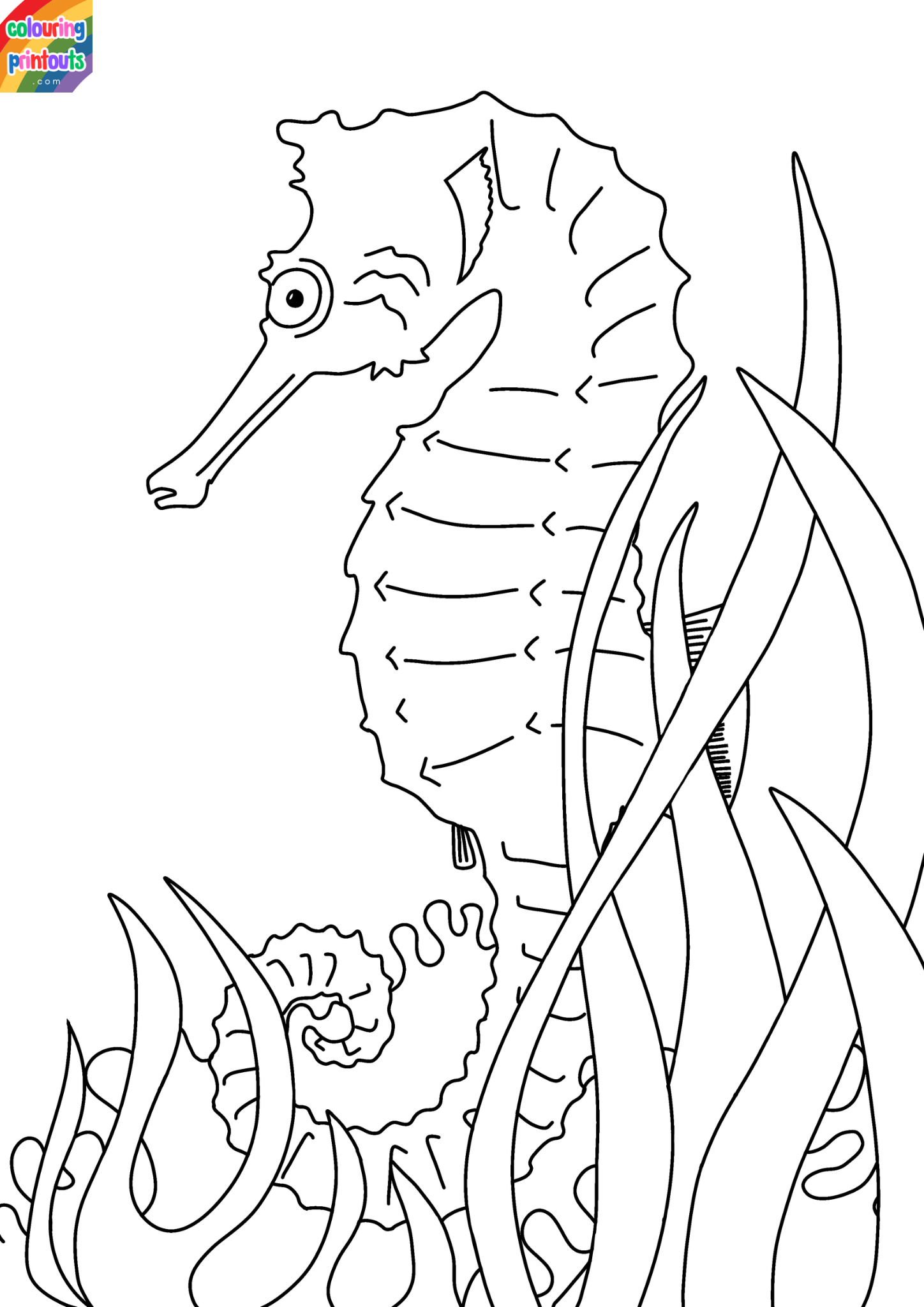 seahorse coloring pages