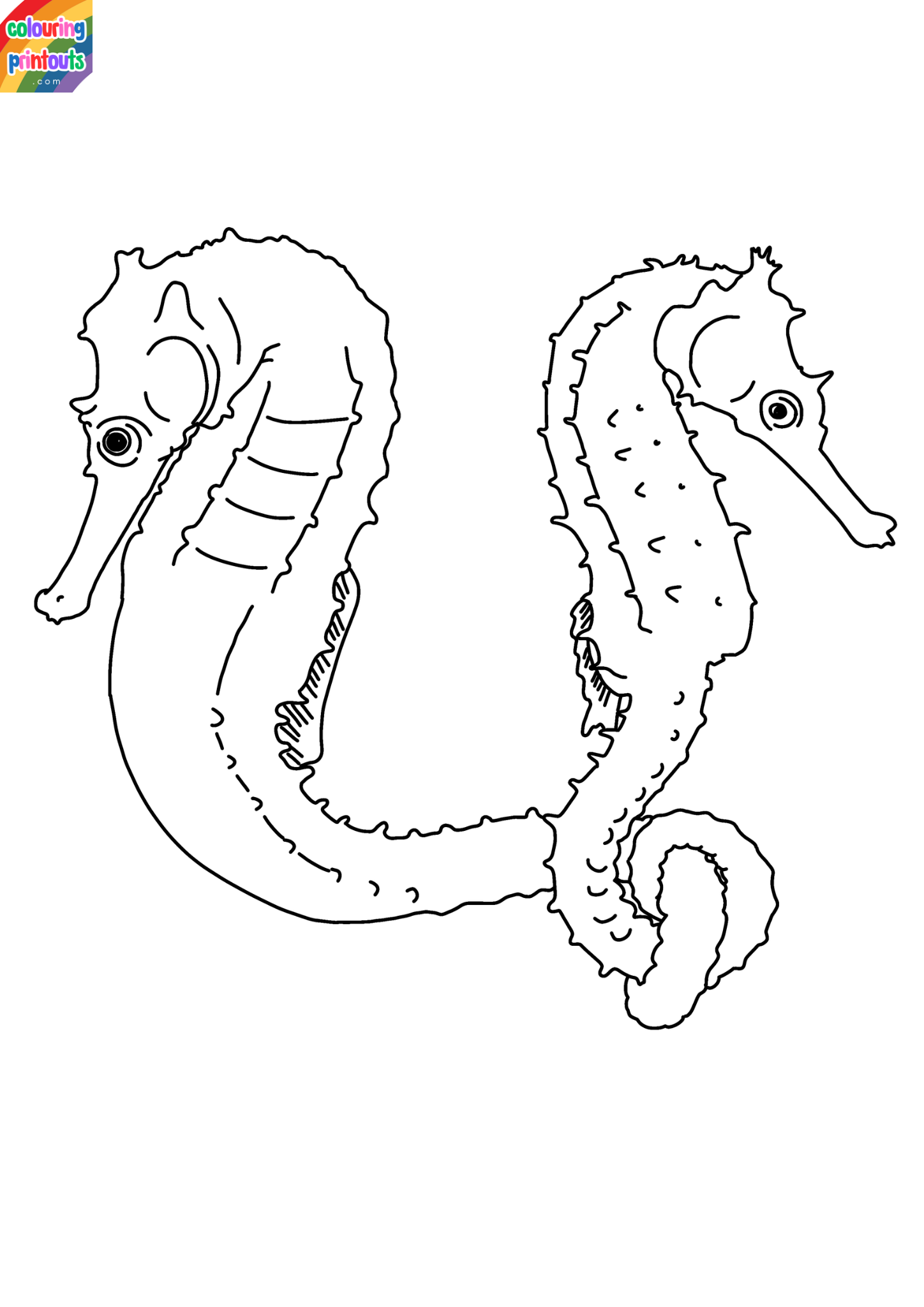 seahorse coloring pages