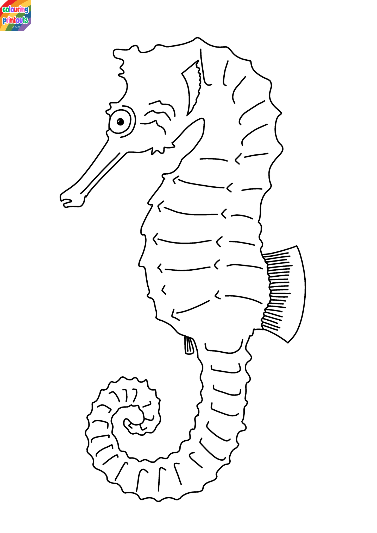seahorse coloring pages