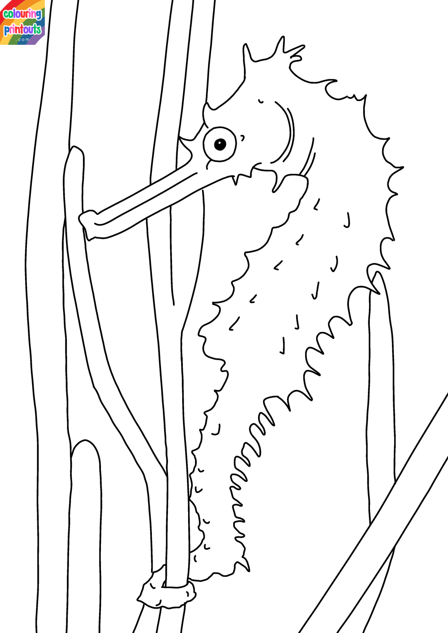 seahorse coloring pages