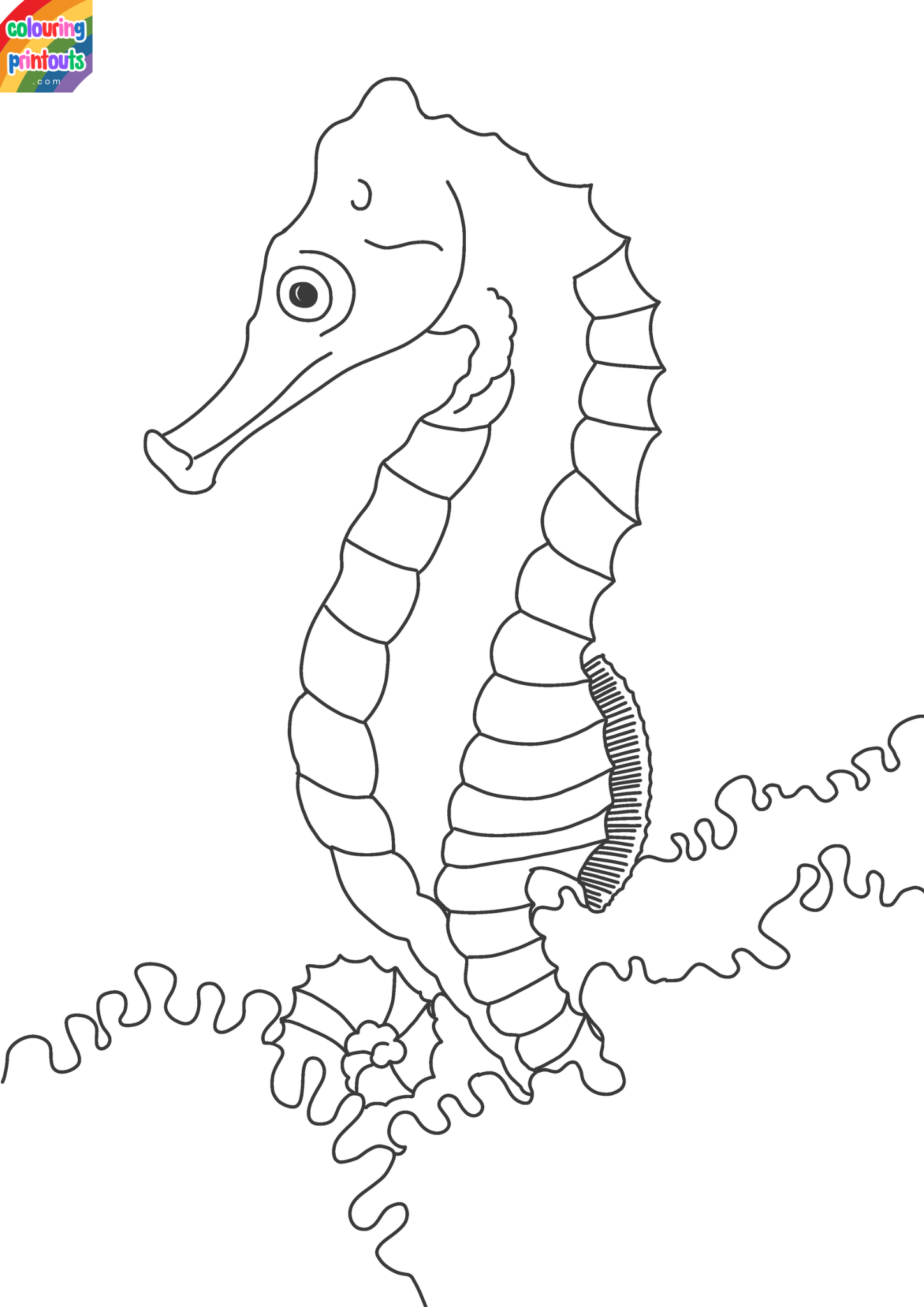 seahorse coloring pages 