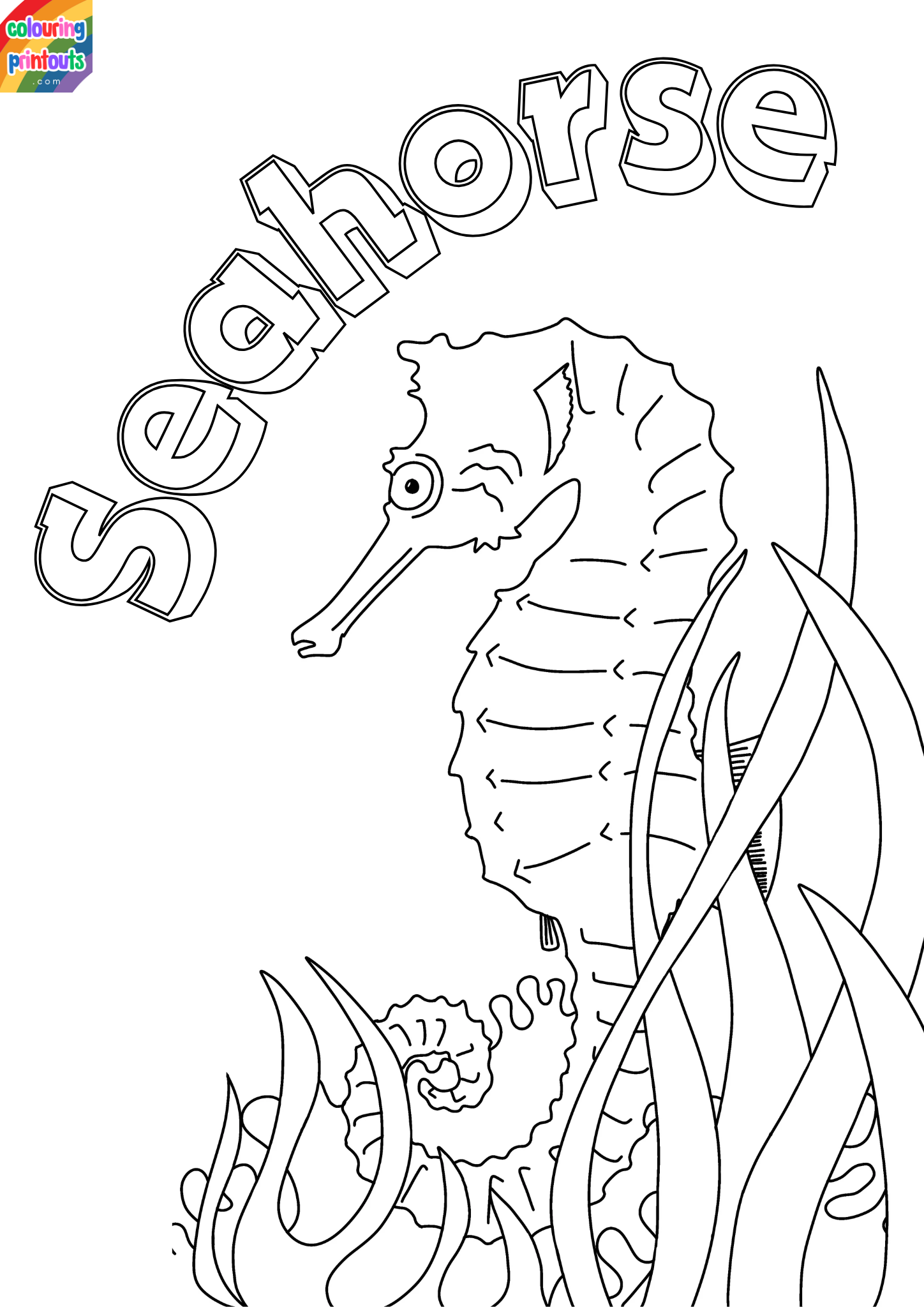 seahorse colouring