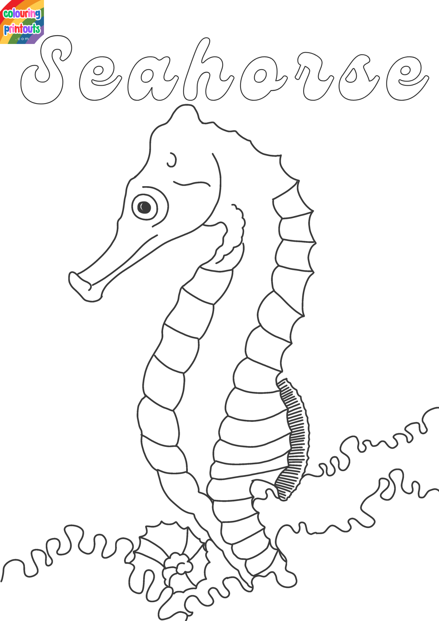 seahorse colouring 