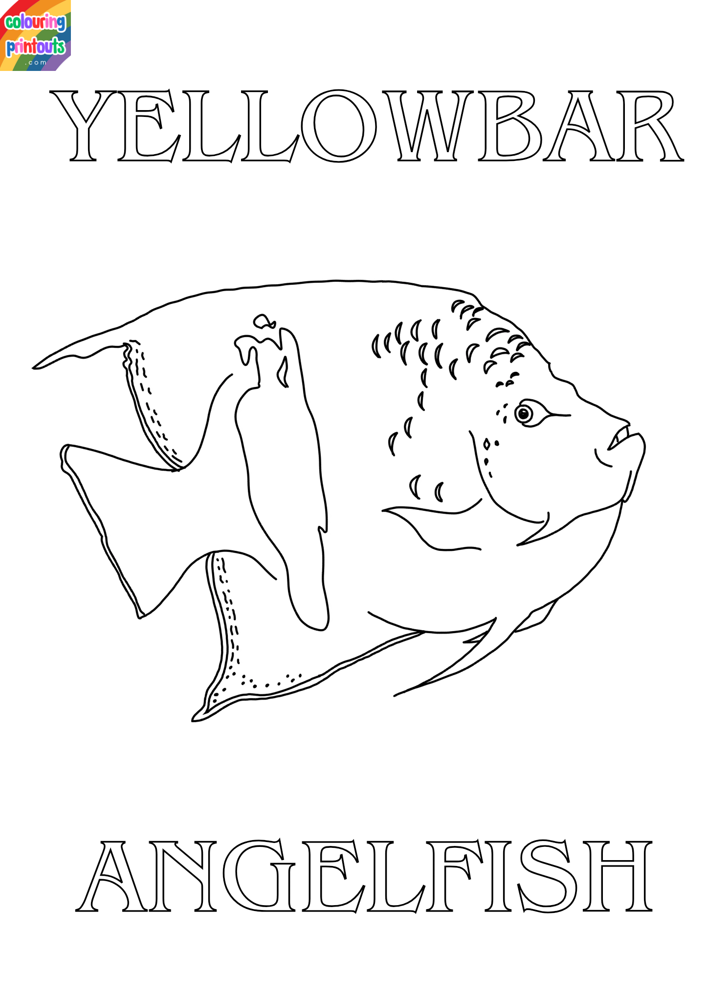 yellowbar angelfish coloring pages