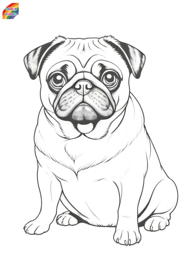 Pug dog coloring pages